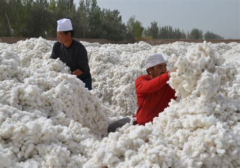 adidas xinjiang|what happened to xinjiang cotton.